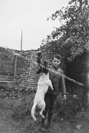 BOY PLAYING WITH DOG